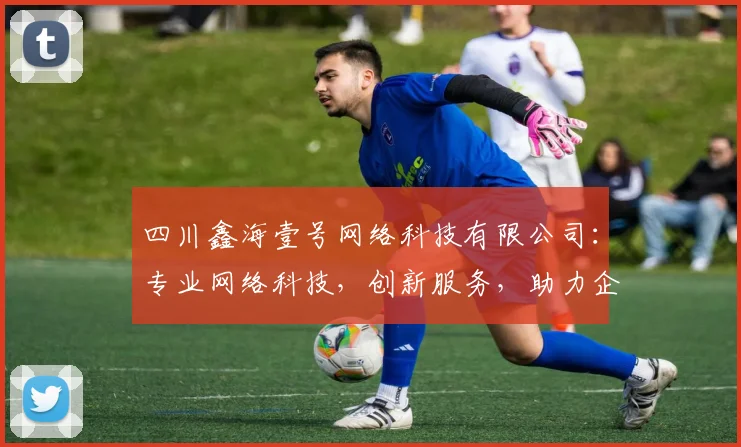 四川鑫海壹号网络科技有限公司：专业网络科技，创新服务，助力企业成长，三重优势，值得信赖