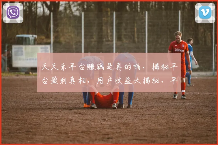 天天乐平台赚钱是真的吗，揭秘平台盈利真相，用户收益大揭秘，平台可靠吗