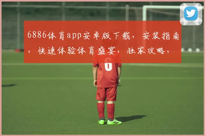 6886体育app安卓版下载，安装指南，快速体验体育盛宴，独家攻略，必看