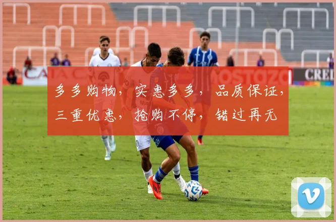 多多购物，实惠多多，品质保证，三重优惠，抢购不停，错过再无